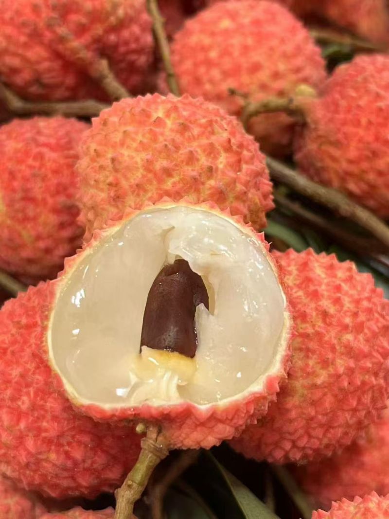 精品荔枝情人荔枝大量上市中广西产地一手货源可视频看货