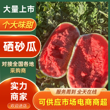 硒砂瓜宁夏石头瓜皮薄多汁现摘现发供应全国市场电商