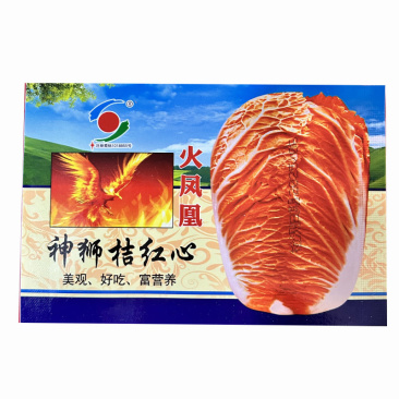 火凤凰桔红芯白菜种子早熟口感好高产抗病秋播