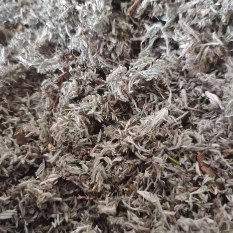 茵陈新货干净无杂绵茵陈道地药材中药材批发供应品种齐