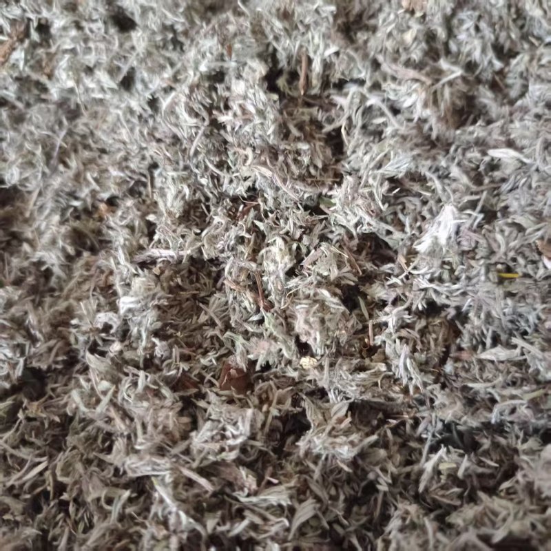 茵陈新货干净无杂绵茵陈道地药材中药材批发供应品种齐
