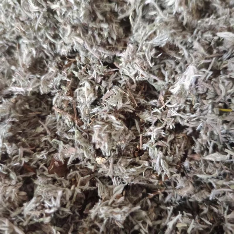茵陈新货干净无杂绵茵陈道地药材中药材批发供应品种齐