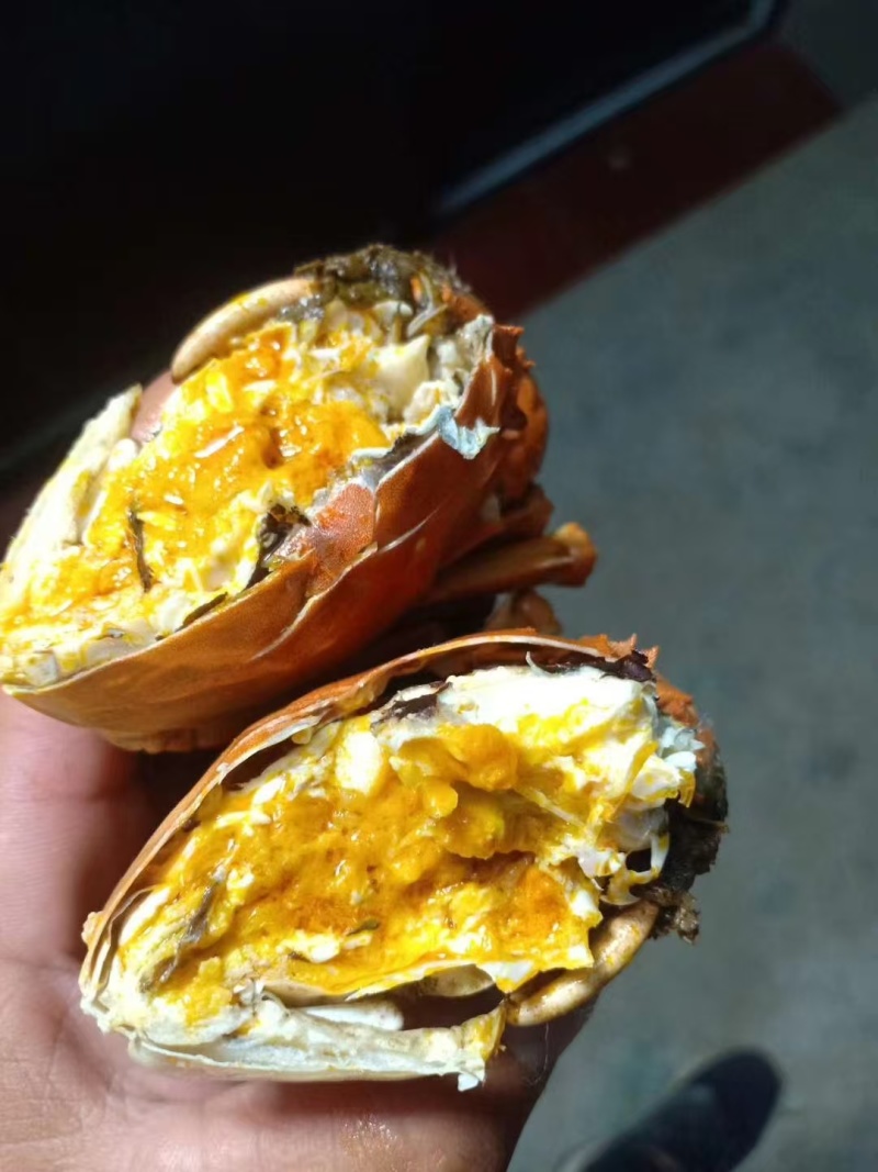江苏六月黄生鲜大闸蟹，现货现发，对接商超电商量大从优，
