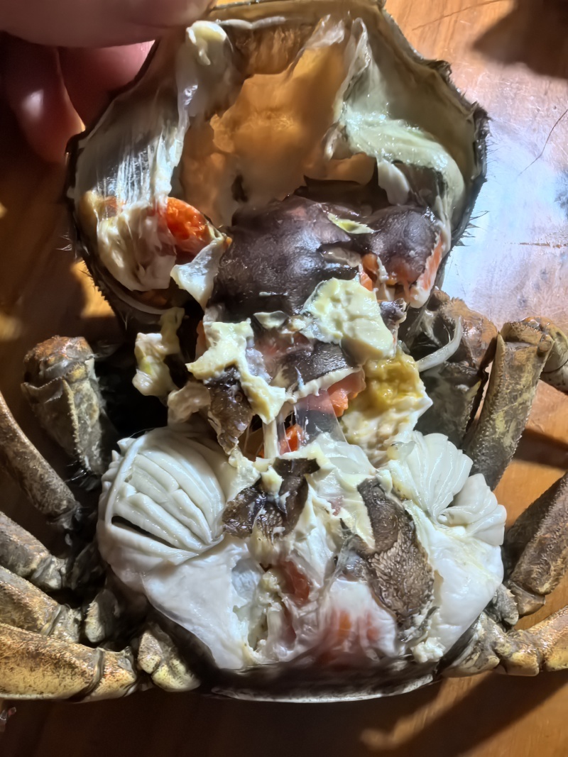 江苏六月黄生鲜大闸蟹，现货现发，对接商超电商量大从优，