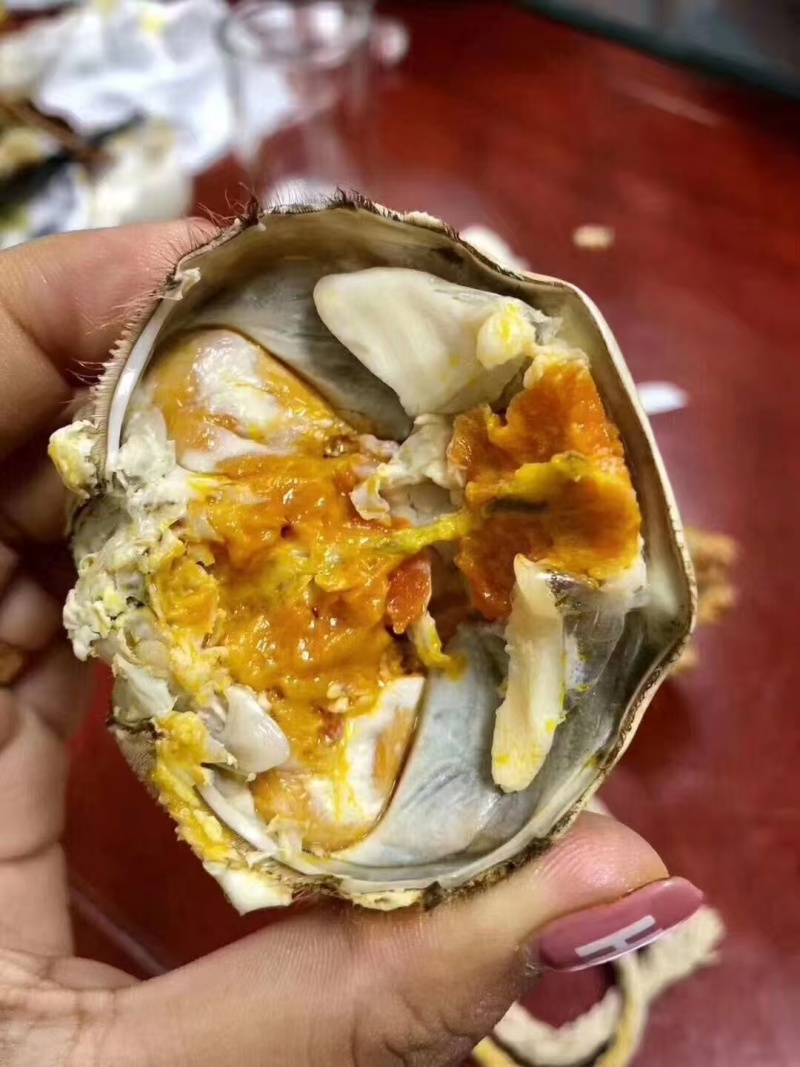 江苏六月黄生鲜大闸蟹，现货现发，对接商超电商量大从优，
