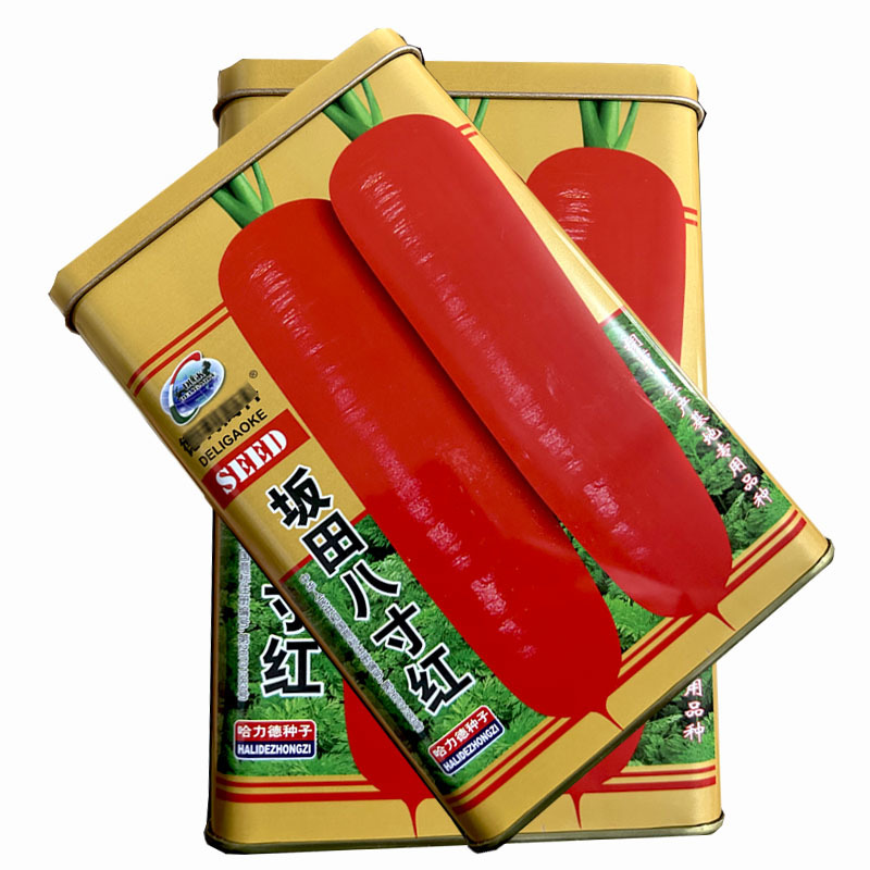 坂田八寸红胡萝卜种子三红早熟耐热耐寒大田基地种