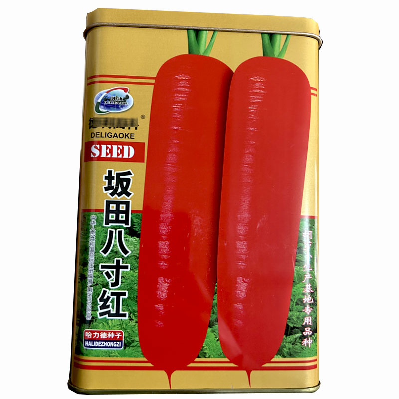 坂田八寸红胡萝卜种子三红早熟耐热耐寒大田基地种