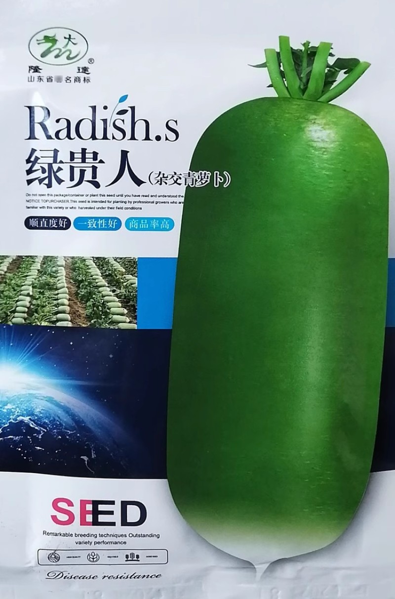 杂交青萝卜种子绿贵人表皮光滑爽脆多汁圆柱水果型青萝卜种籽