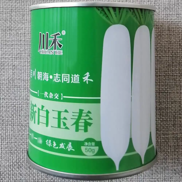白萝卜种子一代杂交特新白玉春萝卜种籽根皮光滑洁白