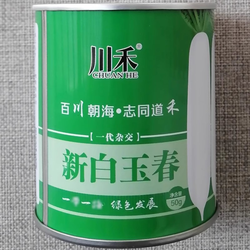 白萝卜种子一代杂交特新白玉春萝卜种籽根皮光滑洁白
