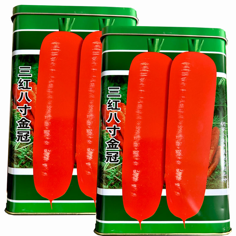 三红八寸金冠胡萝卜种子300克肉质细腻大田基地型