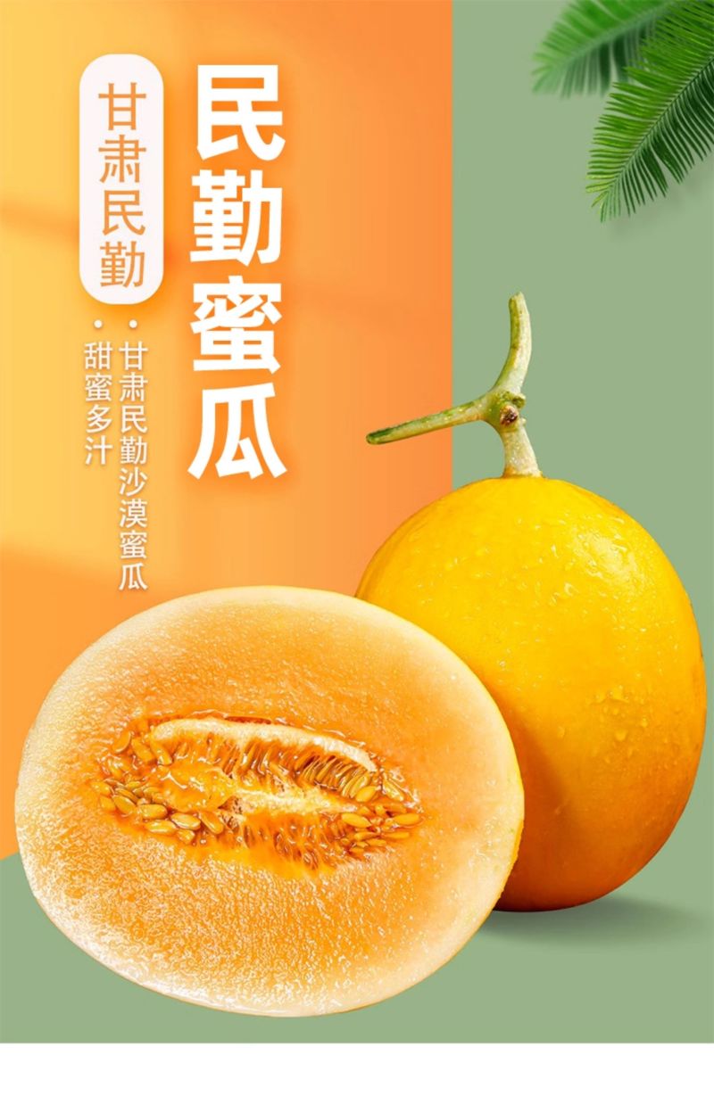 甘肃民勤沙漠蜜瓜一件代发产地直发一手货源对接各大电商平台