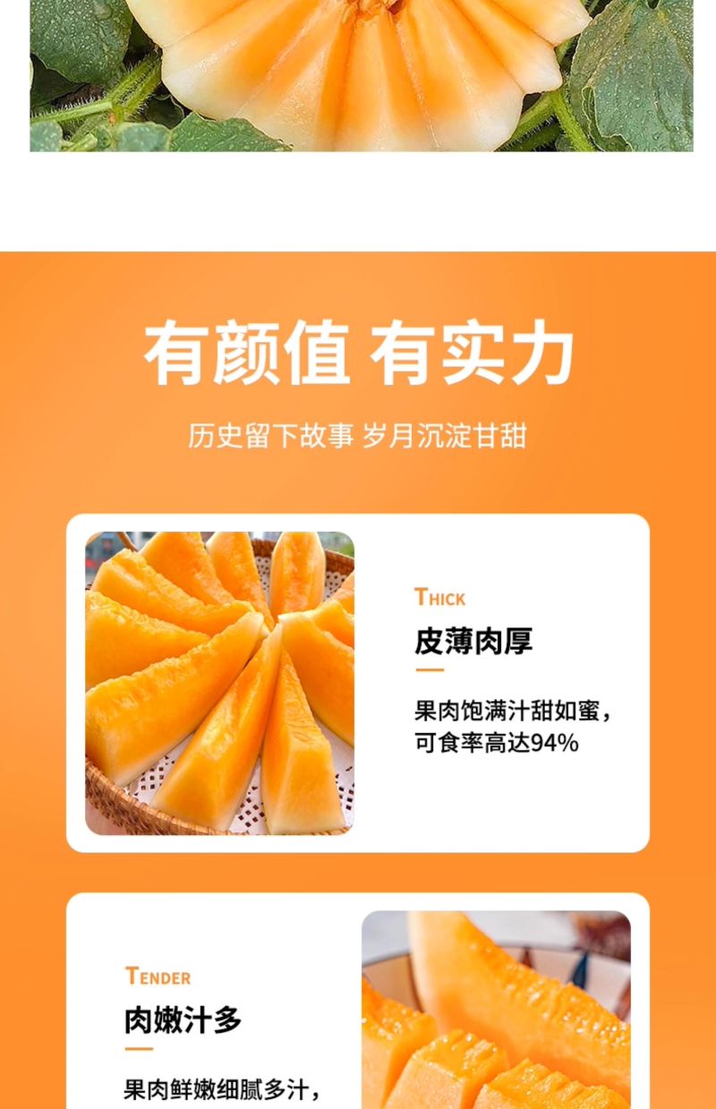 甘肃民勤沙漠蜜瓜一件代发产地直发一手货源对接各大电商平台