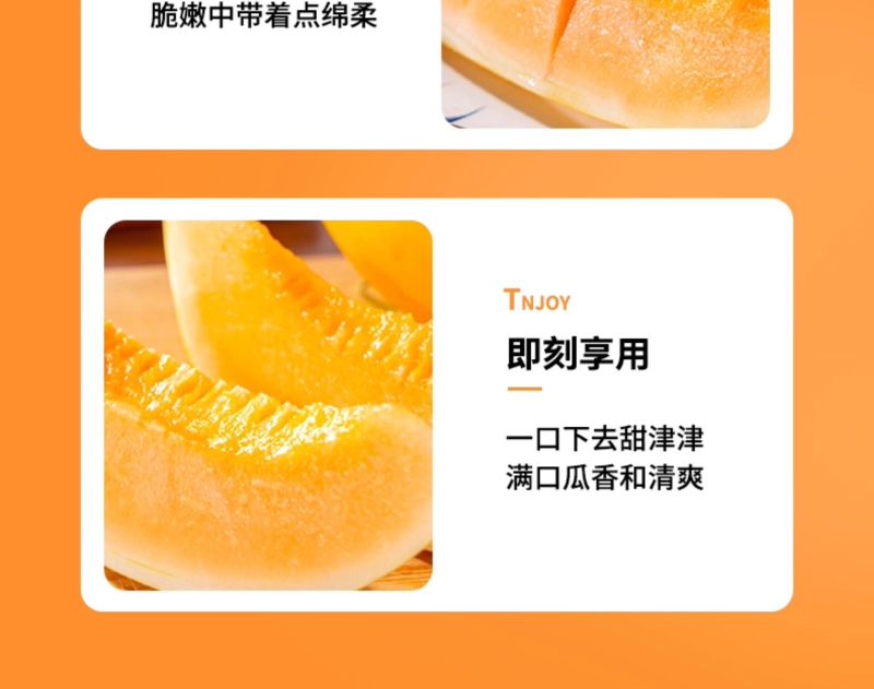 甘肃民勤沙漠蜜瓜一件代发产地直发一手货源对接各大电商平台