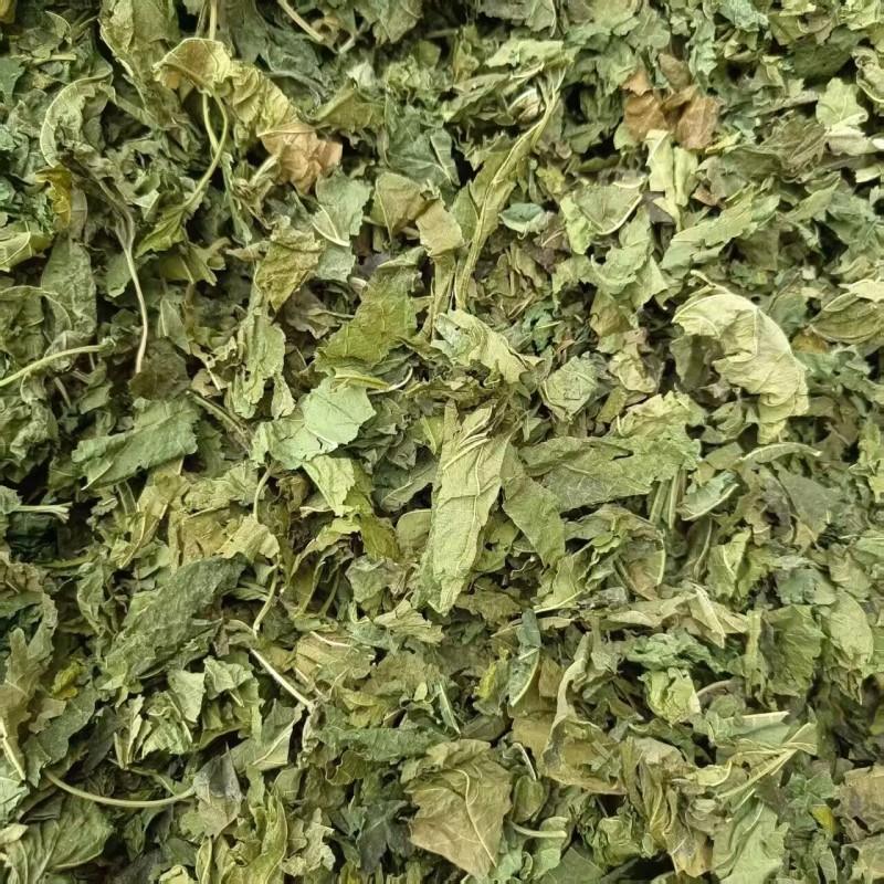 桑叶新货足干青桑叶干净无杂质道地药材品种齐全