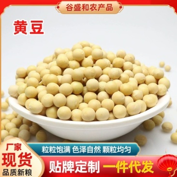黄豆批发一件代发贴牌代加工集采落地配