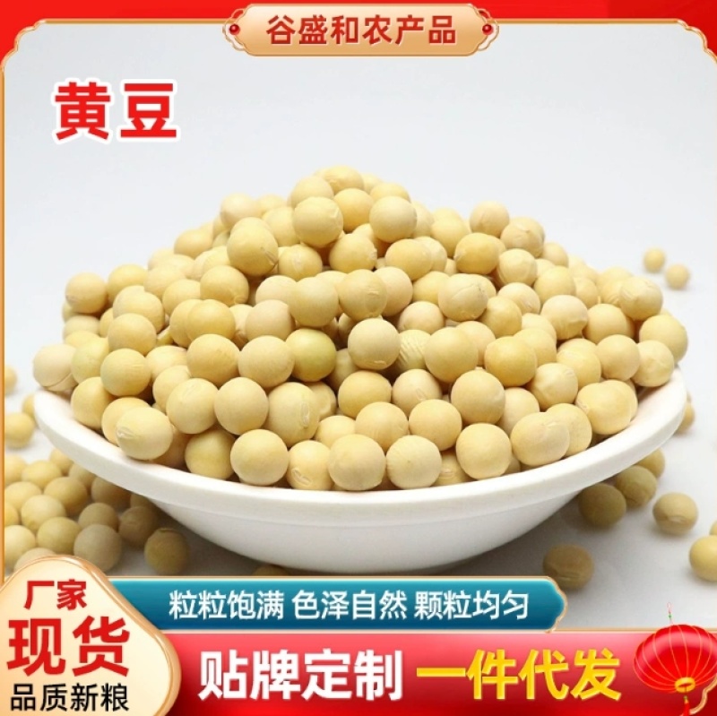 黄豆批发一件代发贴牌代加工集采落地配