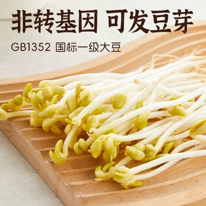 黄豆批发一件代发贴牌代加工集采落地配