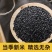 黑香米批发一件代发贴牌代加工集采落地配
