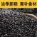 黑香米批发一件代发贴牌代加工集采落地配