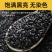 黑香米批发一件代发贴牌代加工集采落地配