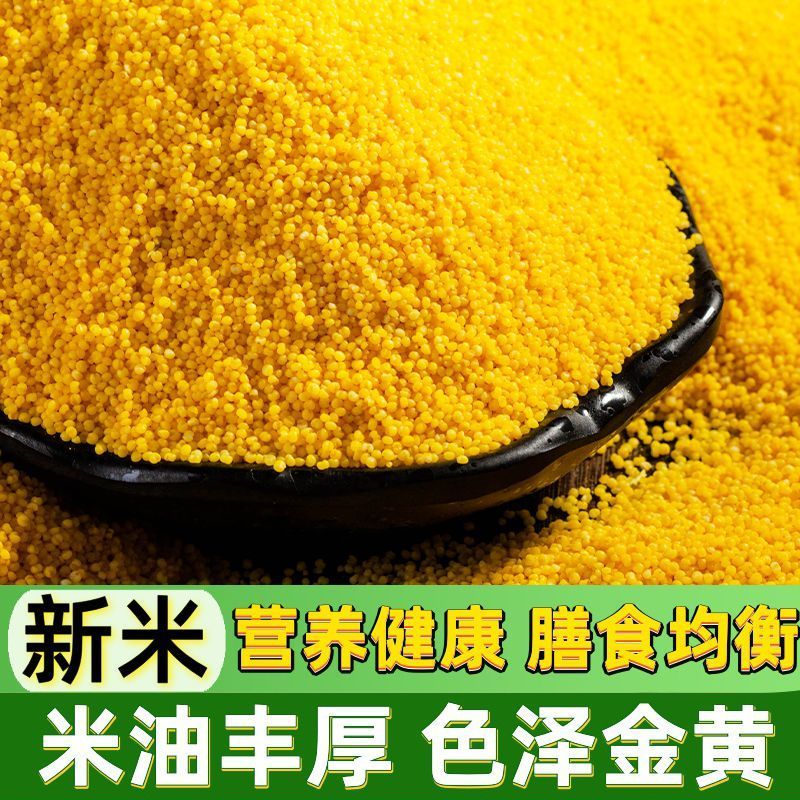 建一金苗小米批发一件代发贴牌代加工集采落地配