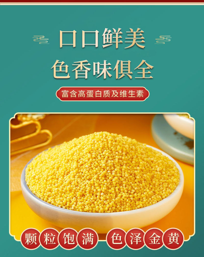 黄小米新米批发一件代发贴牌代加工集采落地配