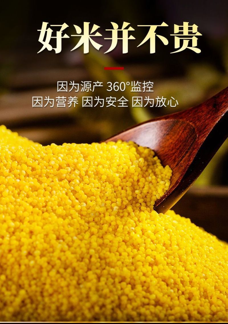 黄小米新米批发一件代发贴牌代加工集采落地配