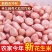 白沙批发一件代发贴牌代加工集采落地配