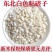 白粘玉米碴批发一件代发贴牌代加工集采落地配