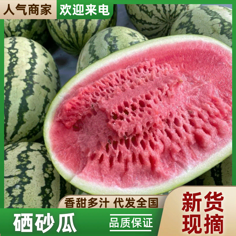 《硒砂瓜》石缝西瓜/宁夏西瓜/大量供应电商超市，产地直发