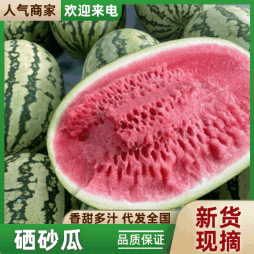 《硒砂瓜》石缝西瓜/宁夏西瓜/大量供应电商超市，产地直发
