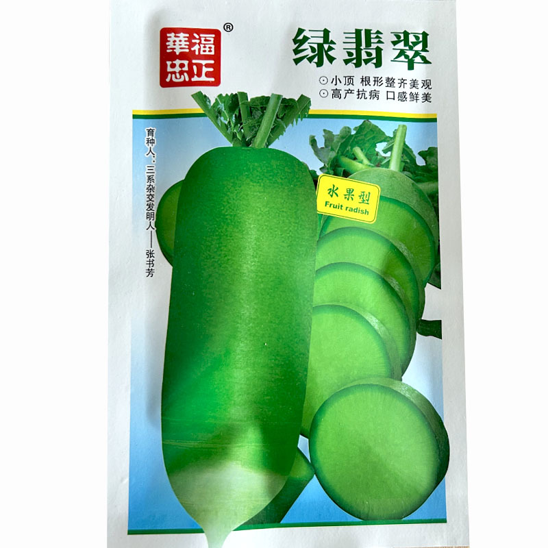 水果萝卜种子三系杂交绿皮绿肉小顶脆甜大田基地品种