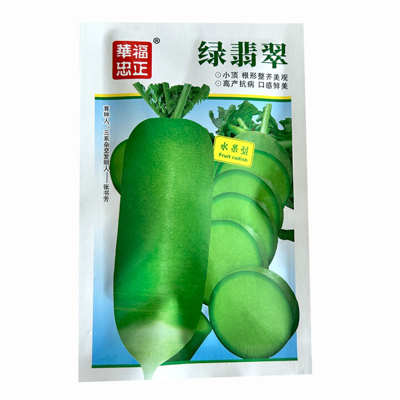 水果萝卜种子三系杂交绿皮绿肉小顶脆甜大田基地品种