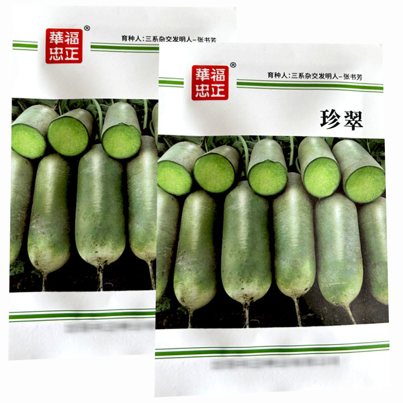珍翠水果萝卜种子杂交种早熟淡绿色小顶生吃脆甜基地