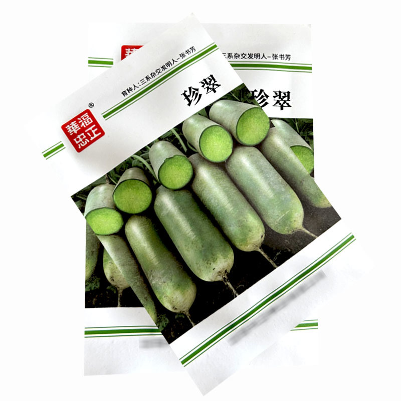 珍翠水果萝卜种子杂交种早熟淡绿色小顶生吃脆甜基地