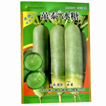 茁泰冰糖水果萝卜种子三系杂交水果蔬菜种子基地品种