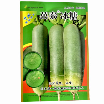 茁泰冰糖水果萝卜种子三系杂交水果蔬菜种子基地品种