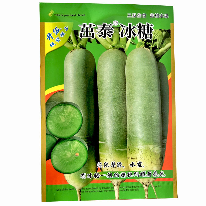 茁泰冰糖水果萝卜种子三系杂交水果蔬菜种子基地品种