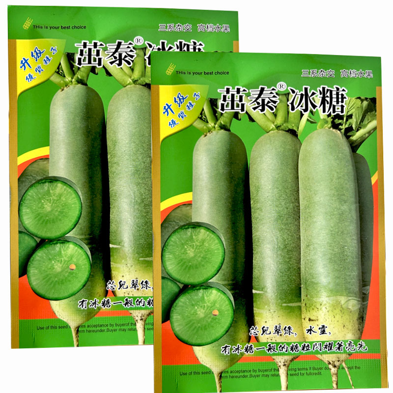 茁泰冰糖水果萝卜种子三系杂交水果蔬菜种子基地品种