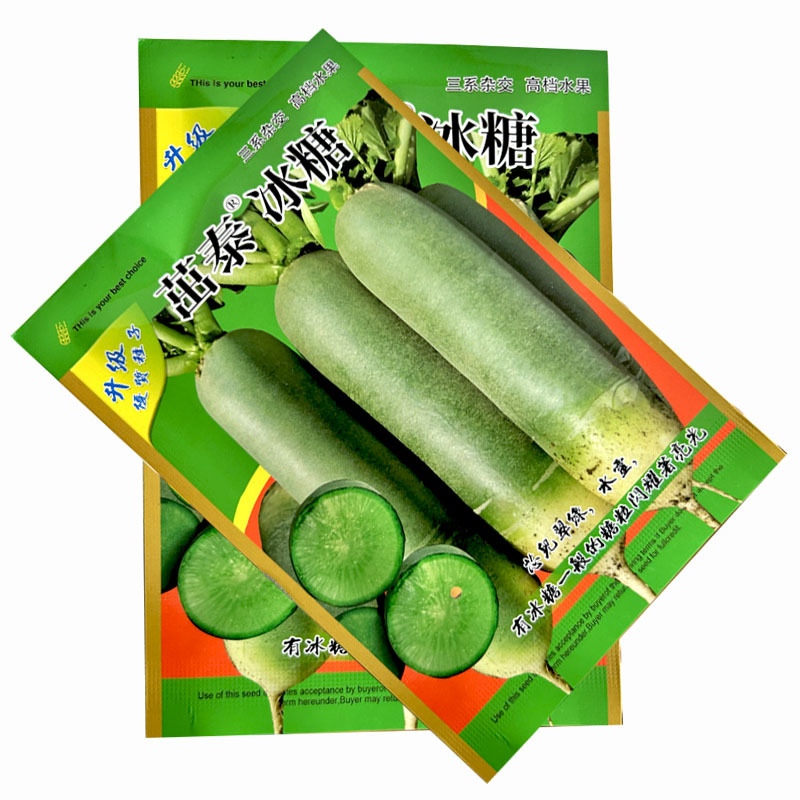 茁泰冰糖水果萝卜种子三系杂交水果蔬菜种子基地品种