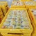 阳山水蜜桃大量上市产地现摘现发品质保证欢迎来电洽谈
