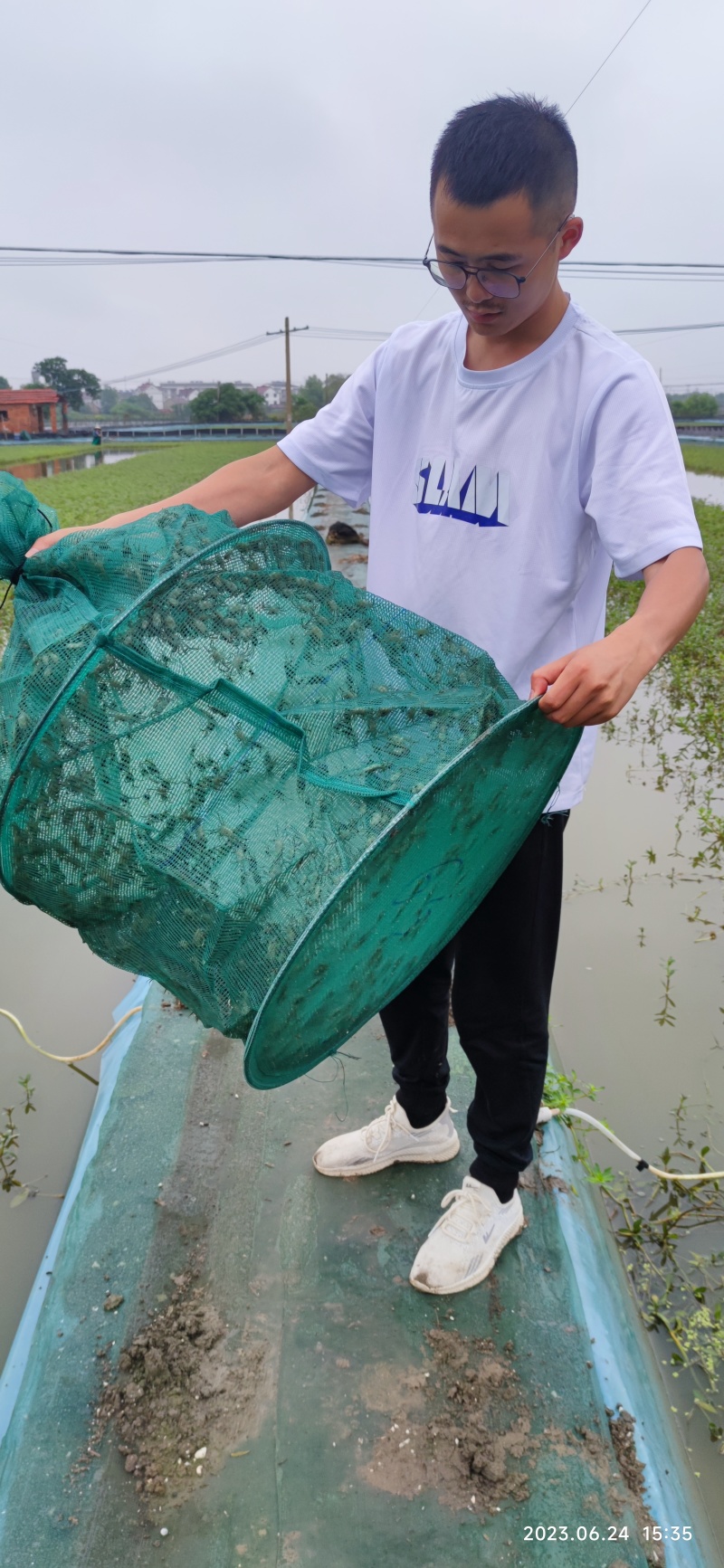 江苏4母6公大闸蟹苗产地发货一手货源对接全国电商商超