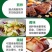 甘肃一手货源橄榄油对接全国市场清香可口正在热卖中