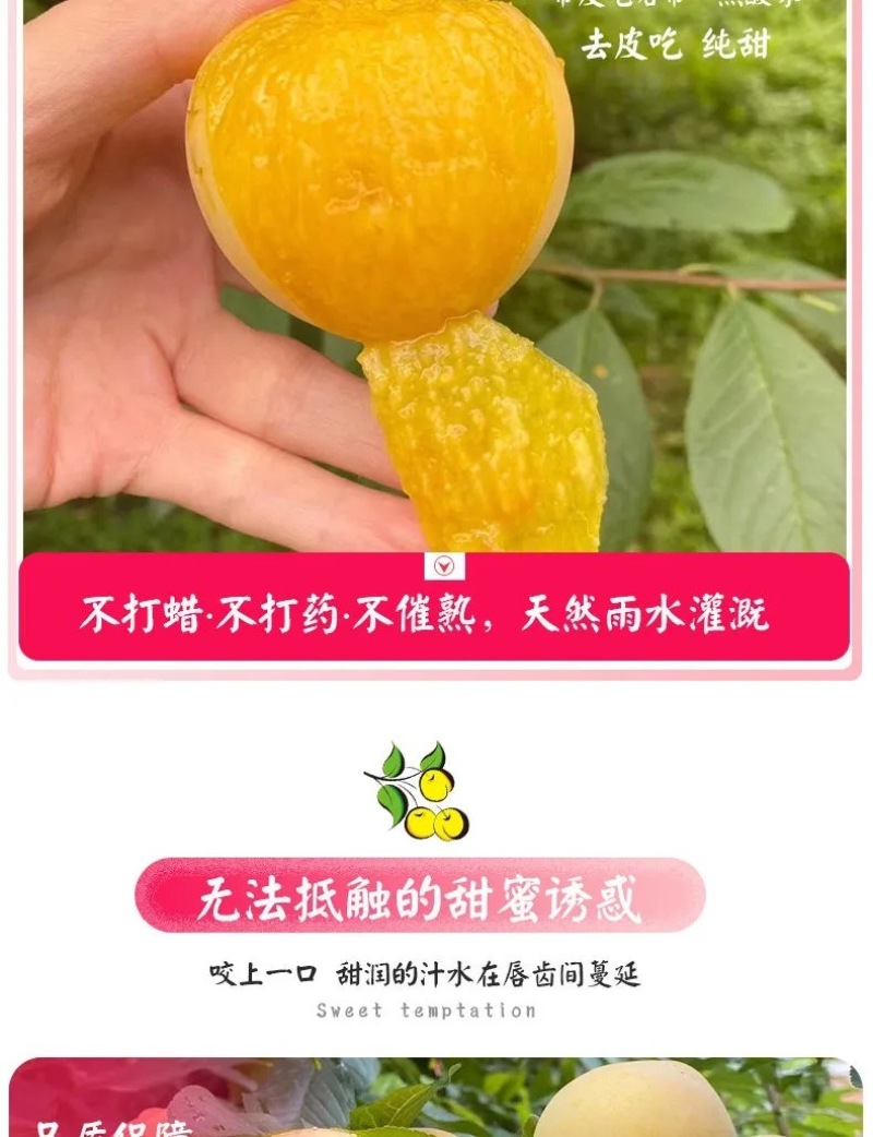 四川桃花李一件代发产地直发一手货源对接各大电商平台