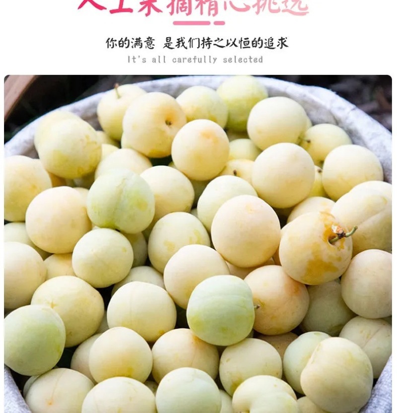 四川桃花李一件代发产地直发一手货源对接各大电商平台