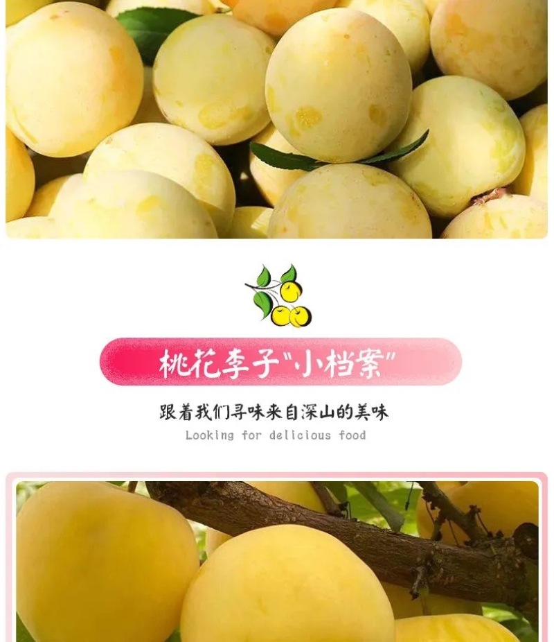 四川桃花李一件代发产地直发一手货源对接各大电商平台
