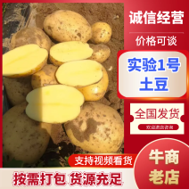 实验1希森6内蒙土豆产地一手货源现挖现发量大优惠
