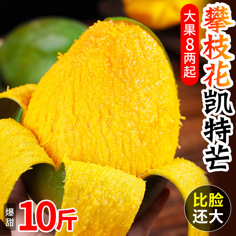 攀枝花凯特芒一件代发产地直发一手货源对接各大电商平台