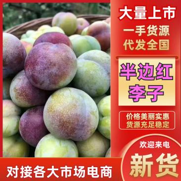 产地四川，口感脆甜，老少皆宜，糖度15需要联系我，货源充